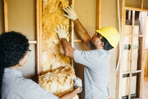 Best Attic Insulation Installation  in Powers Lake, WI
